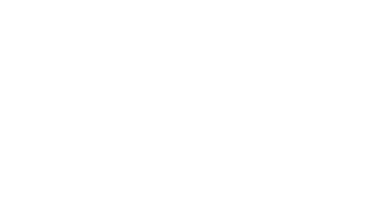 The Noises